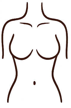 chest and belly icon